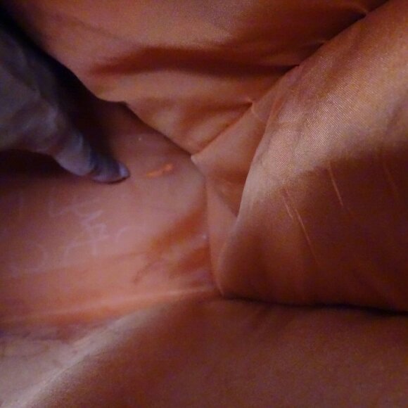 Diane Von Furstenberg DVF Travel Bag Luggage Tote Carryon Blue Tan Canvas - Picture 8 of 12